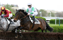 100 turf, special prono, les pronostics gratuits des courses hippiques