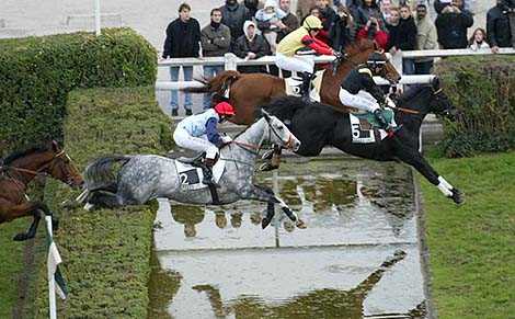 100 turf, special prono, les pronostics gratuits des courses hippiques